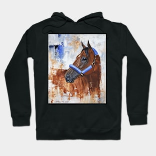 The Wind Hoodie